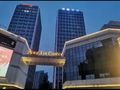 Anhui Derun Import & Export Trading Co., Ltd Attività della società